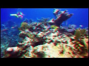 4k underwater 3Dvideo,anaglyph red and blue glasses