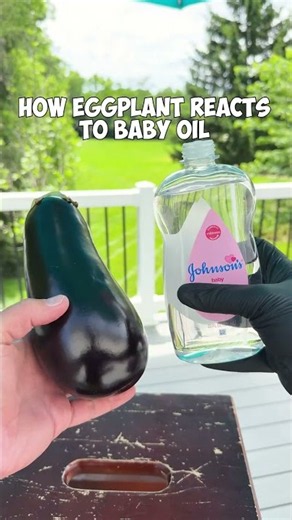 How Eggplants react o baby oil 😂 #funny #science #experiment
