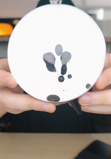 Exploring the World's Weirdest Products: A Fun Review