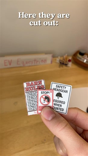 Realistic signs for my barn! 💖🐴 #horses #stable #barn #diy #mini #equestrian #schleich