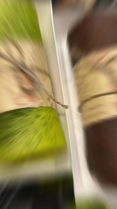 4.1K views · 3 comments | BÁNH CREP PUDDING CHƯA BAO GIỜ HẾT HOT 098 8962688 | Cẩm Vân Bakery | Facebook