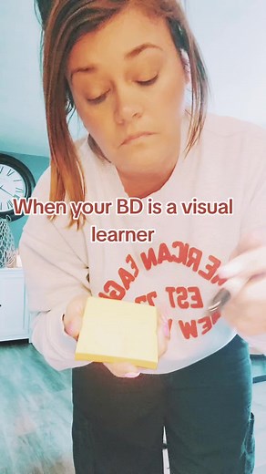 Learning Techniques for Visual Learners