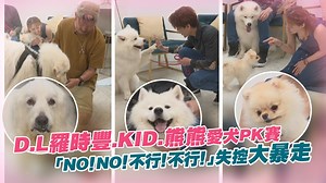 1.7M views · 20K reactions | Polar耳朵蓋起來果然是正確的...主人好吵喔XDDDDDD 叫我不吃～我聽不到～聽不到～聽不到～（7奴） 星光雲也有IG喔！妳/你追了嗎？ https://www.instagram.com/starettoday/ 林柏昇 KID　熊熊 Bear Genie　羅時豐牛棚 | ETtoday星光雲 | Facebook