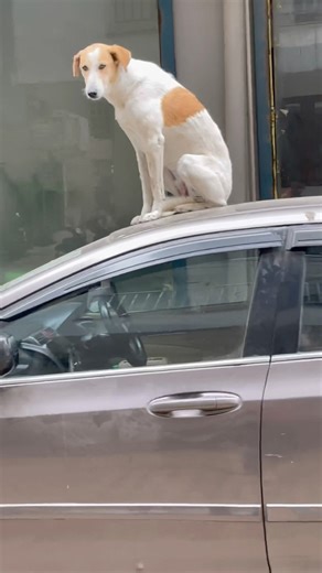 Day 30/100 |A day in my life 🧷✨ |#shorts #adayinmylife #minivlog