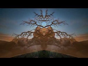 Desert Dwellers Live @ Sanctuary Festival | TreeCasa, Nicaragua