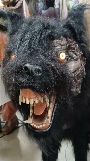 DEMON-POSSESSED ZOMBIE DOG WILL GNAW YOUR BONES!!!