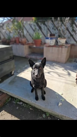 Transformations: Before and After Explored