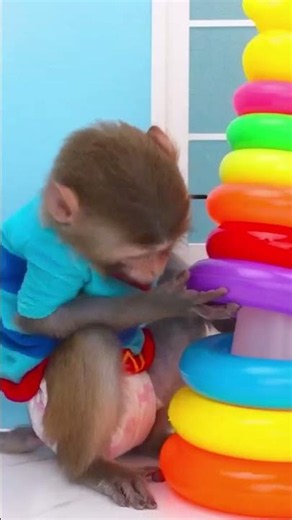 Monkey Baby cartoon #kidscartoon #babyshark #pingfong #tomandjerry #babyvlog #comedy #trynottolaugh