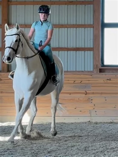 Lake Anna Real Estate with Ashley Hoffman on Reels | Facebook