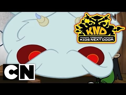 Codename: Kids Next Door - Operation: L.I.C.E.