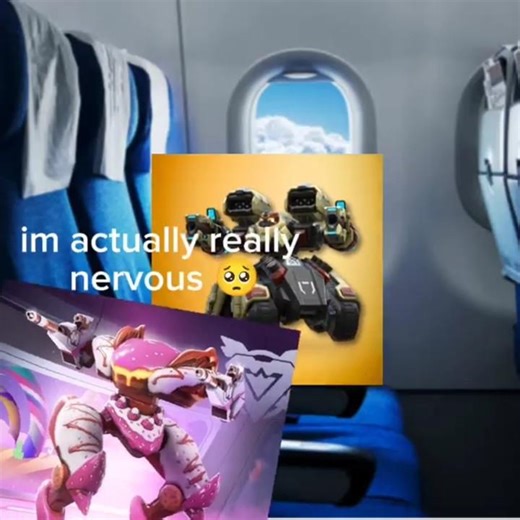 Panther First Time in an Airplane - Mech Arena