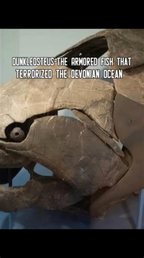Meet Dunkleosteus-The Armored Fish That Terrorized The Devonian Ocean