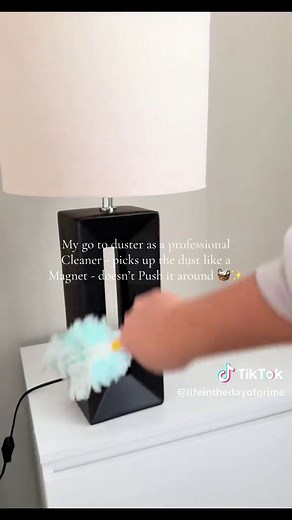 Flash Dust Magnet: A Cleaning Game Changer