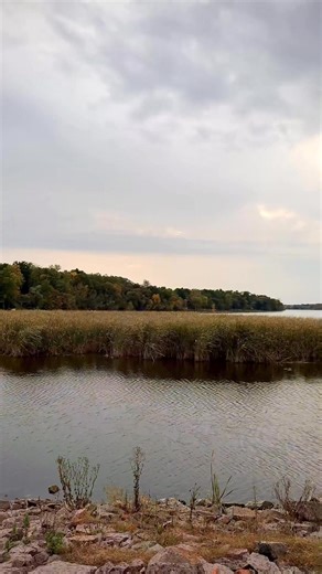 🍂 Spent the morning driving the back roads through Marquette County to catch the changing leaves. I got off I-39 at Exit 100 and made a stop in Endeavor. Checked out Lions Park and the Vietnam War Memorial. I didn’t stop for lunch, but I’ve heard Oasis Bar & Grill is a great spot if you’re hungry. From there, take the scenic route around Buffalo Lake through Packwaukee and into Montello. It’s the perfect fall drive filled with small-town charm, quiet roads, and all the colors of the season. #It