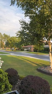 14K views · 460 reactions | ⚜️ Here are ten powerful Bible verses to seek God's help in times of need⚜️ #Dailylife #Inspirational #pray #peace #deliverance #love #jesuslovesyou #christiantiktok #scripture #putgodfirst #bibleverse #healing #grace #fyp #foryoupage #worship #forgiveness #motivation #inspiration #praise | Positive Confessionz | Facebook