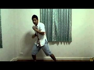 Monkey Kung Fu: Stance & Basics