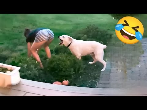 100% Funny Random Memes 😂 | Try Not To Laugh | Memes Part 38