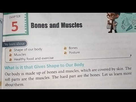 Class 2nd Science || Chapter-5 Bones and Muscles || Full Lesson Question Answer & Exercise Solution