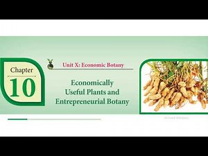 12th Std Botany &Bio- Botany /Lesson 9&10/ Evaluation one mark answers