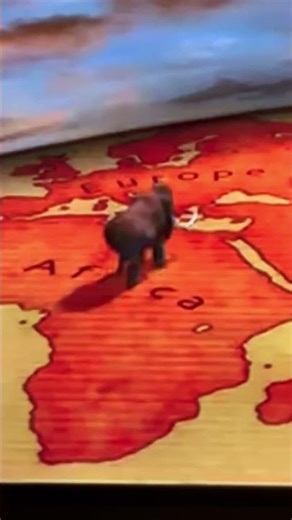 Land of the mammoth 🦣 African mammoth 🦣