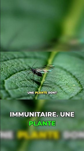 Le secret des plantes super saines révélé par le Brix #jardinage #plantes