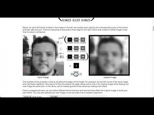 Image Kernels Effects Explained Visually (with website link)