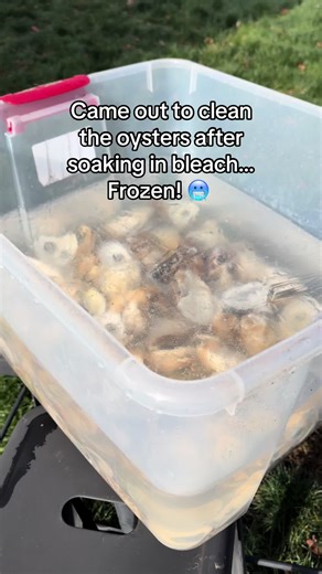 Understanding Cold Living in New England