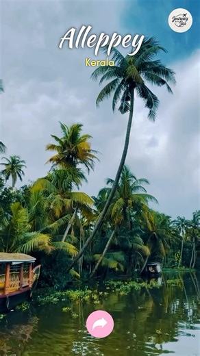 Alleppey – Venice of the East 🚤🌴 | Backwaters & Houseboat Experience | Kerala