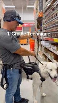 Dogs: 3 handling techniques for high risk dogs. #dog #dogbehavior ‪@cecbehaviortraining‬