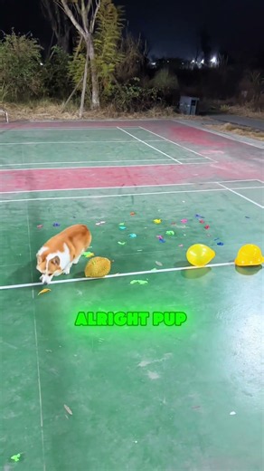 🎈😱🤔 Why Did You Pop ALL The Balloons!#funny