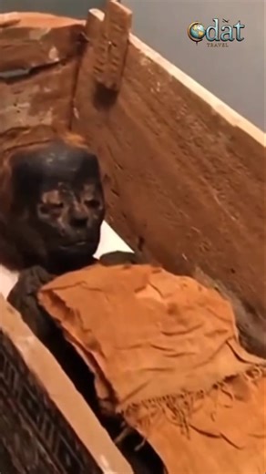 Mummy of a Royal Child in his Sarcophagus or Coffin #mummy #royal #child #sarcophagus #coffin #tomb
