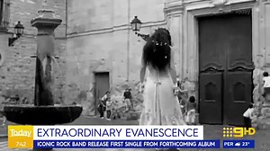 Evanescence frontwoman Amy Lee reflects on the band's rise to fame