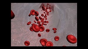 Animated Introduction to Cancer Biology (Full Documentary)