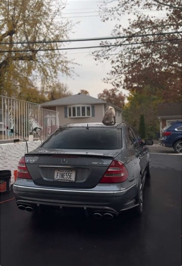 What the cat doin #e55 #amg #e55amg #w211 #f1ne55e #explorepage #kompressor #mercedes