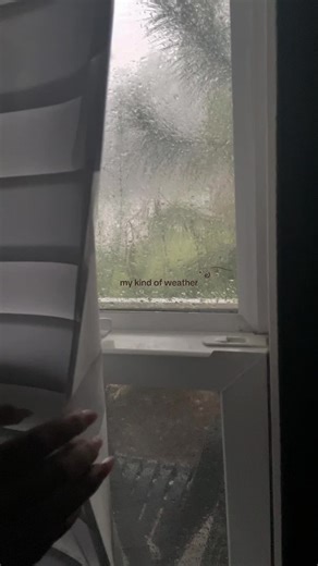 this is the perfect reading weather. #cozytok #cozyathome #quiet #raining