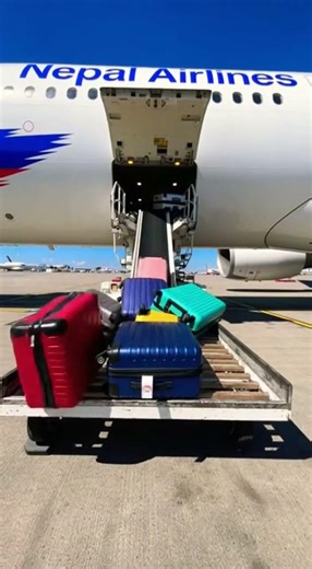 Cargo Hold Unloading Luggage