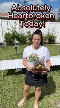 What Happened to Our Tortoise Eggs Will Shock You