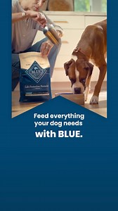 BLUE Life Protection Formula is made with superior ingredients to help your dog thrive. | Blue Buffalo | Facebook