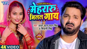 350K views · 10K reactions | #Video - मेहरारू मिलल गाय | #Pawan Singh | Mehraru Milal Gaay | Shivani Singh | New Bhojpuri Song #pawansingh #mehrarumilalgaay #bhojpurinewsong #shivanisingh #wavemusic | Wave Music | Facebook