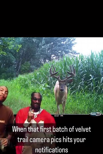 3.1K views · 25 reactions | Camera season is in full swing! Don’t walk away from your CuddeLink camera without confirming it is operating off the external power device - solar panel or the external battery pack.In this video, Dan explains an easy method to ensure your camera is operating off the external power device. #Cuddeback #CuddeLink #CuddeLinkCell #trailcameras #cellcameras | Cuddeback Digital | Facebook