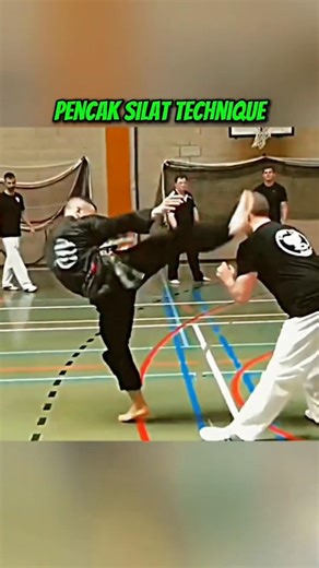 🥋 PENCAK SILAT TECHNIQUE #combatsports #boxing ‪@CombatTraining147‬