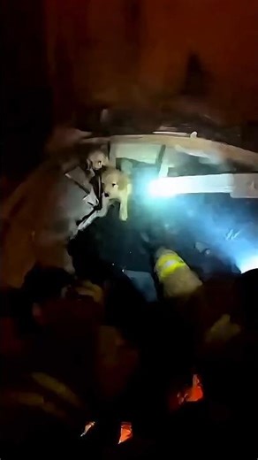 Firefighter Rescues Puppy From A House Fire!