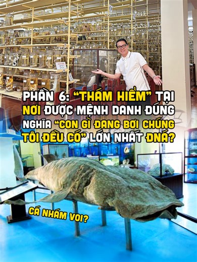 Khám Phá Viện Hải Dương Học Nha Trang