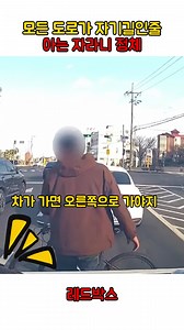 모든 도로가 자기길인줄 아는 자라니 정체 #블랙박스
