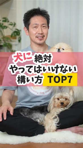 ヒロ“おうち犬のしつけ”の先生 on Instagram: "犬にやってはいけない構い方TOP7 【@hiro_empathydog ←他の投稿コチラ🐶ドッグトレーナー ヒロ 🌿 もっと深く学びたい方へ 🌿 各リンクはこち💁‍♂️@hiro_empathydog ✔︎ 今すぐできるヒントだけじゃなく ✔︎ ちゃんと「理由」と「やり方」を知りたい ✔︎ 愛犬との関係を根本から整えたい そんな悩める飼い主さんのために、 🐶 オンラインサロン｜おうち犬のしつけの学校 日々の疑問をすぐに解決✨そのままにしない場所。 愛犬のお悩みを “伝えあうコミュニケーション”へ変えていく双方向コミュニティです。 🐶 個別オンラインレッスン・対面レッスン（50分） ※ 個別レッスンはオンラインサロンからご案内しています オンラインサロンで解決しない時はその子・そのご家庭に合わせて、今つまずいている所を一緒に整理します。 🍚 ドッグフード〈調活〉 体・腸・心を整えることは、しつけの土台。 質が良いのは当たり前。毎日のごはんから、落ち着きや集中力を支える設計です。 「なんとなく不安」 「情報が多すぎ