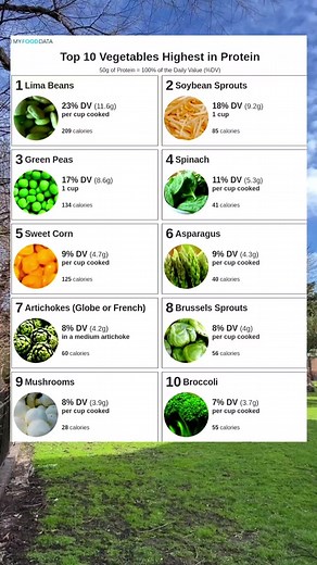 Top 10 Vegetables Rich in Protein You Should Try