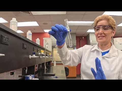Single Displacement Reactions Lab | CHM 1045 Experiment 7A | Metal Reactivity Series
