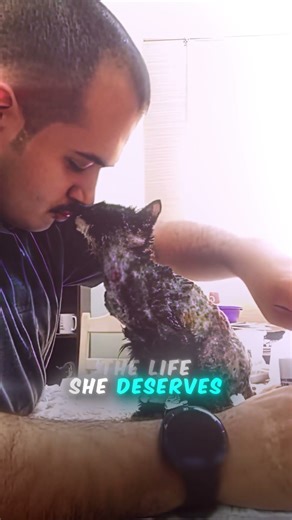 This Cat Was Abused… Then This Man Stepped In ❤️‍🩹