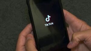 A Saskatchewan toddler is suing TikTok for psychological damages