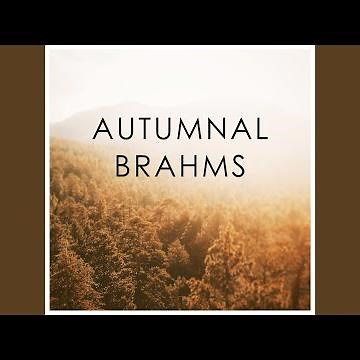 Brahms: 21 Hungarian Dances, WoO 1: Hungarian Dance No. 5 in G Minor. Allegro (Orch. Schmeling)